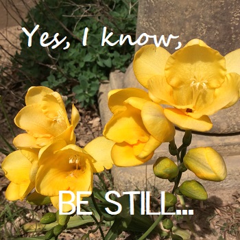 Be Still …