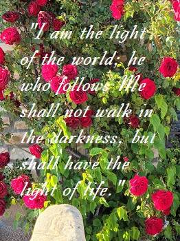 His Marvelous Light!